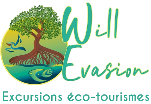 WILL EVASION