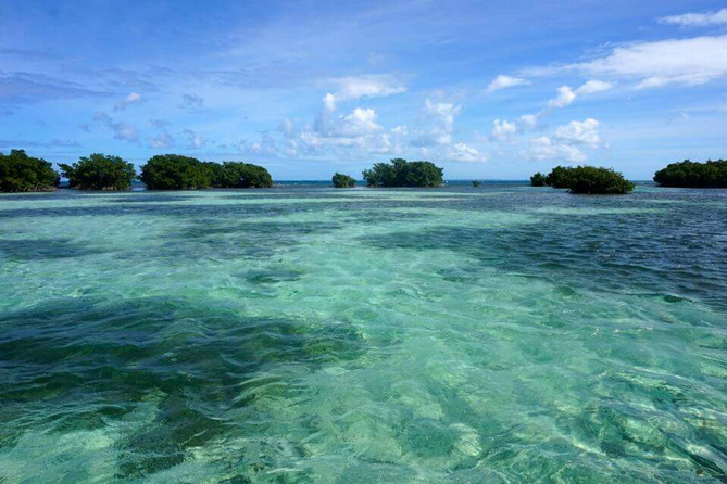 Sortie pédagogique en bateau Guadeloupe
