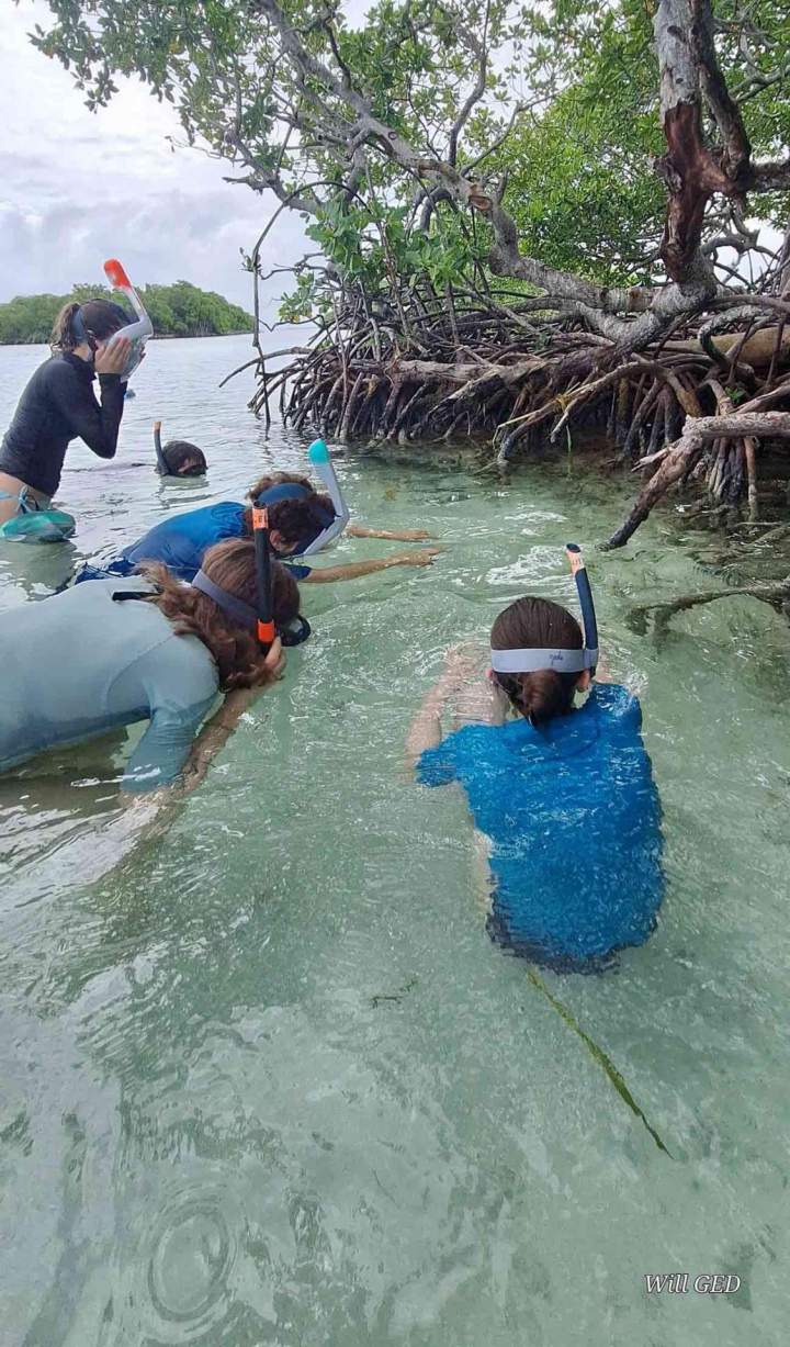 Sortie scolaire en mer Guadeloupe