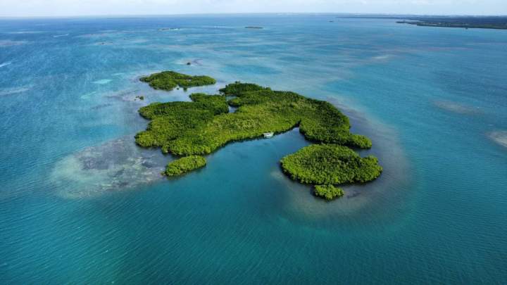 Journée en mer sur bateau privatisé Guadeloupe