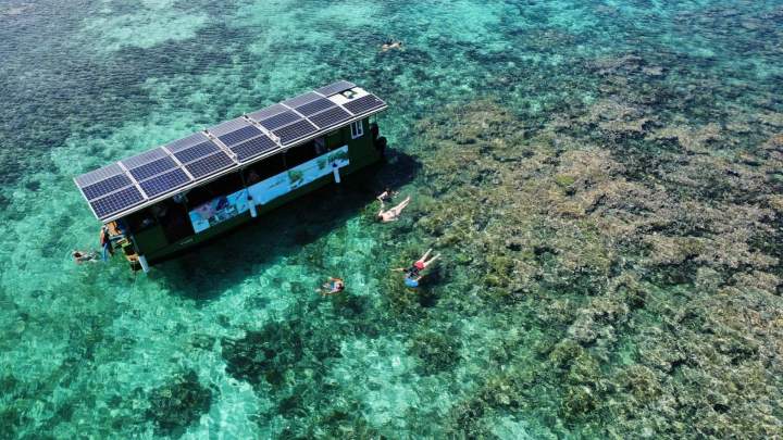 Sortie en bateau Guadeloupe