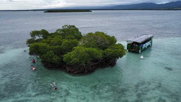 Sortie pédagogique en bateau Guadeloupe