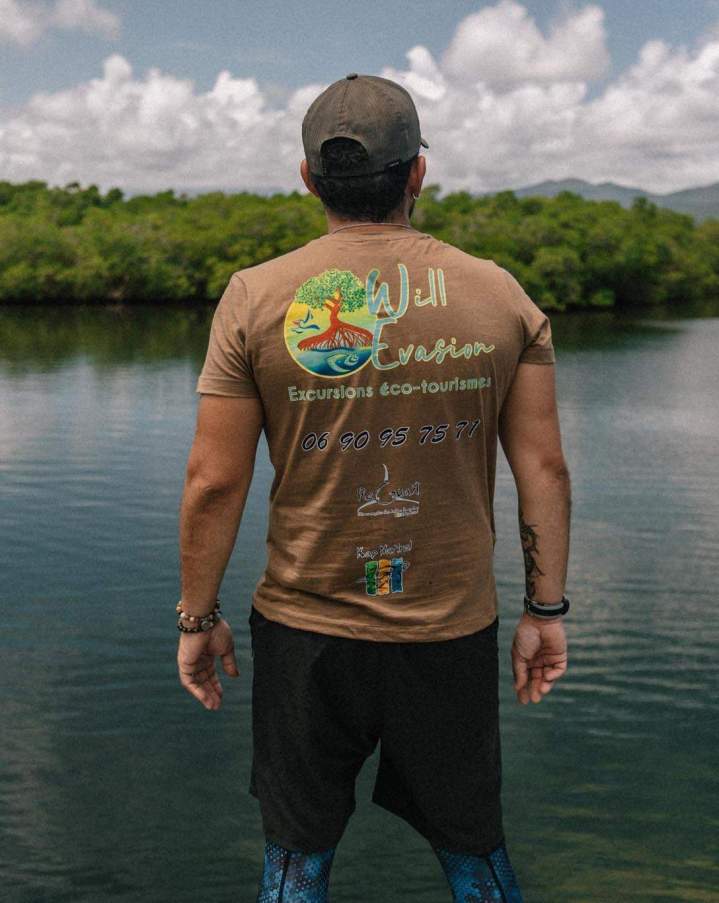 Visite de mangrove Guadeloupe