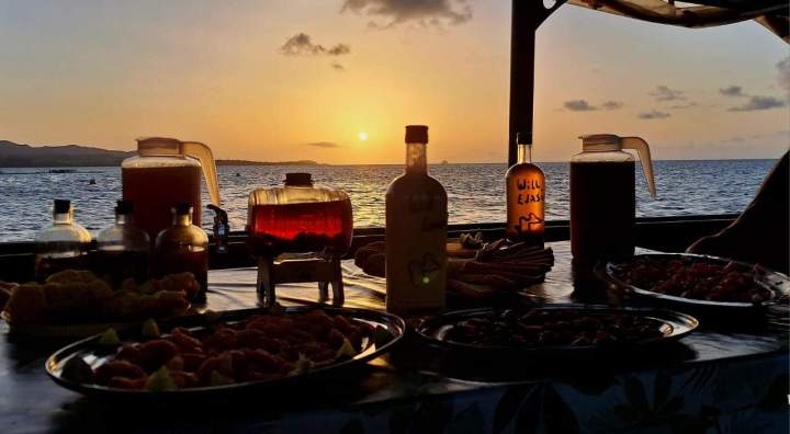 Visite de mangrove Guadeloupe