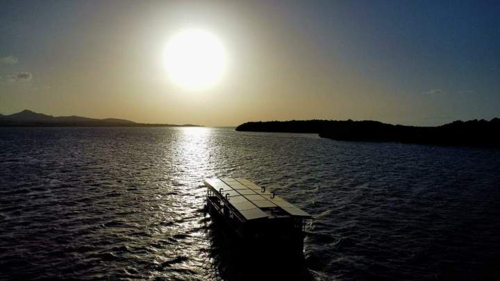 Découverte mangrove Guadeloupe
