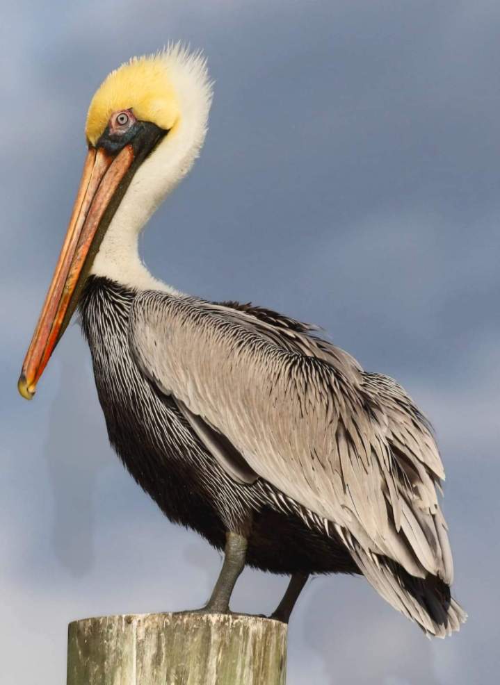 Excursion au coucher du soleil