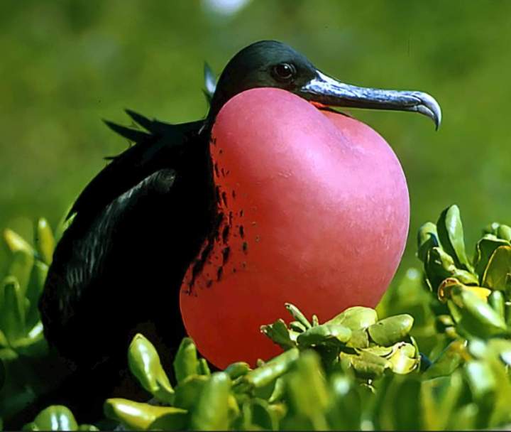 Excursion au coucher du soleil