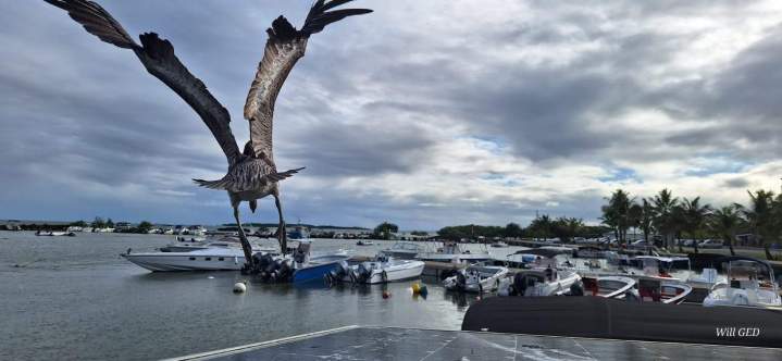 Excursion au coucher du soleil
