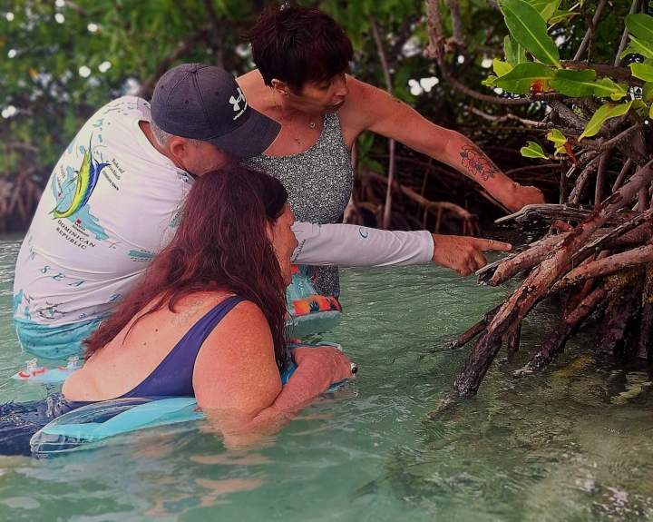 Visite de mangrove Guadeloupe