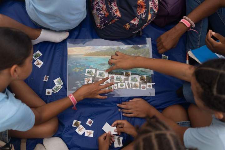 Sortie scolaire écologie Guadeloupe