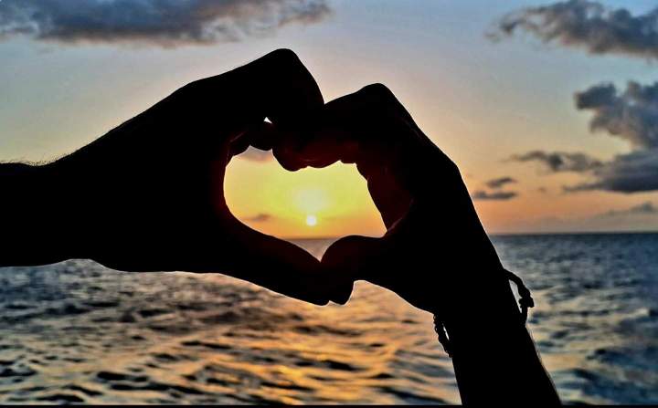 SunSet 5