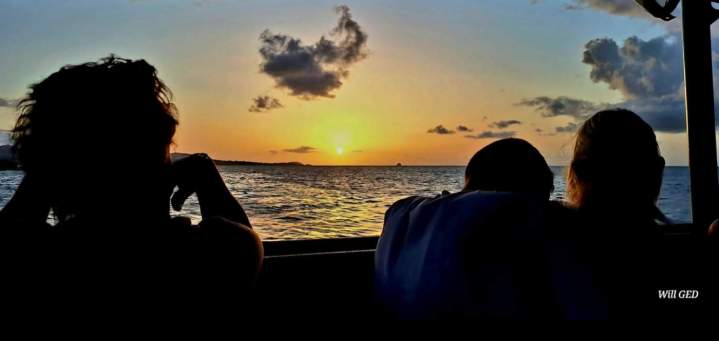 SunSet 8