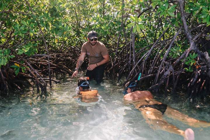 Excursion en mer Guadeloupe