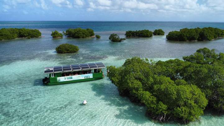 bateau mangrove