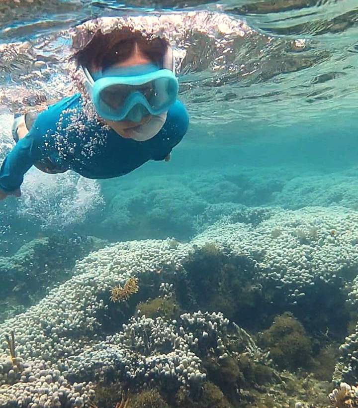 Excursion en mer Guadeloupe