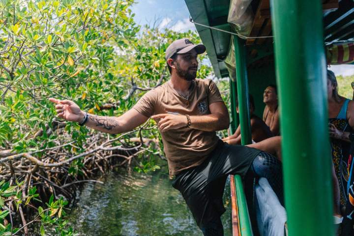 Vivez une journée inoubliable avec nos excursions en bateau